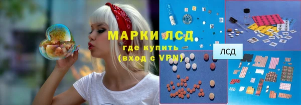 прущие грибы Рославль