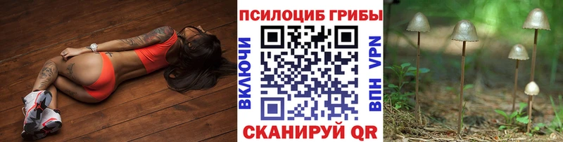 наркошоп  Большой Камень  Галлюциногенные грибы Magic Shrooms 