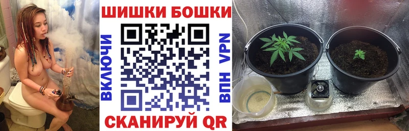 где можно купить наркотик  Большой Камень  Марихуана гибрид 